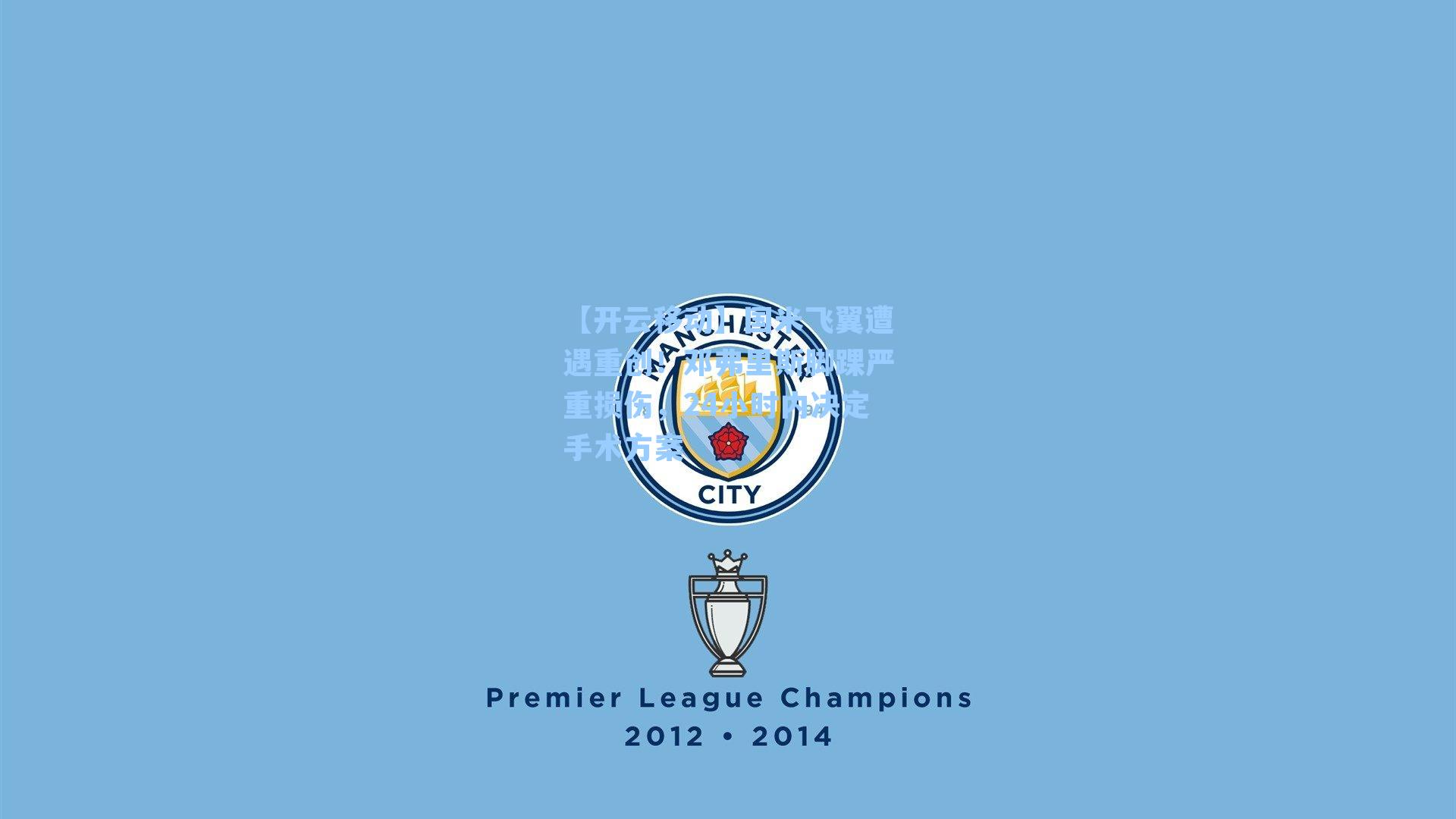 国米飞翼遭遇重创！邓弗里斯脚踝严重损伤，24小时内决定手术方案